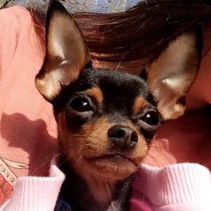 Meet your Posher, Danielle